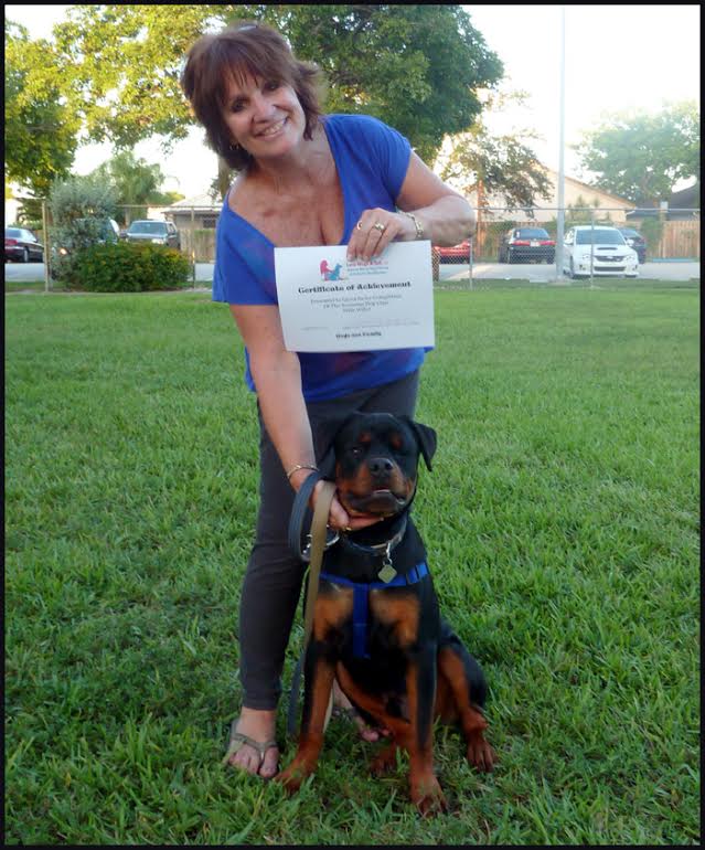 LoveWagsATail Dog Training Testimonial Laura Willy