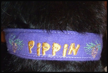 Pippin's Collar