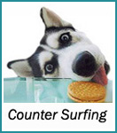 Counter Surfing