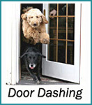 Door Dashing