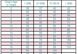 Dog-To-Human-Age Chart