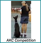 AKC Competition Training
