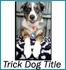 Trick Dog Title