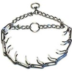 Prong Collar