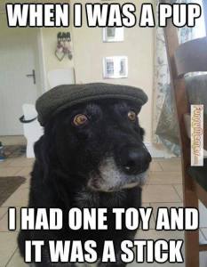 One Dog Toy - A Stick