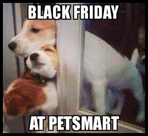 Black Friday At Pet Smart