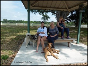 CGC Gals Love Wags ATail Dog Training