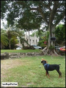 The Castle at Fort Lauderdale