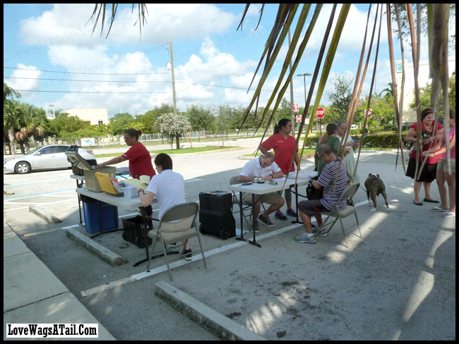 Pet Stop Vaccination Table