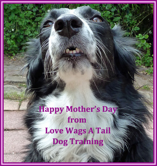 happy mothers day from love wags a tail dog training