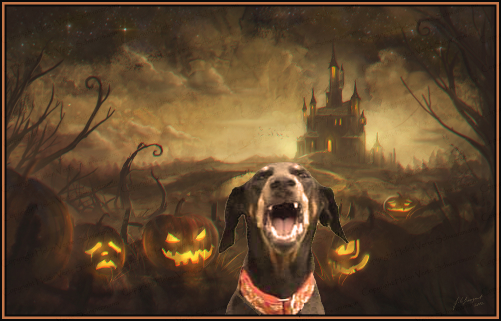 Vampira Luna with the Evil Pumpkins - love wags a tail dog training